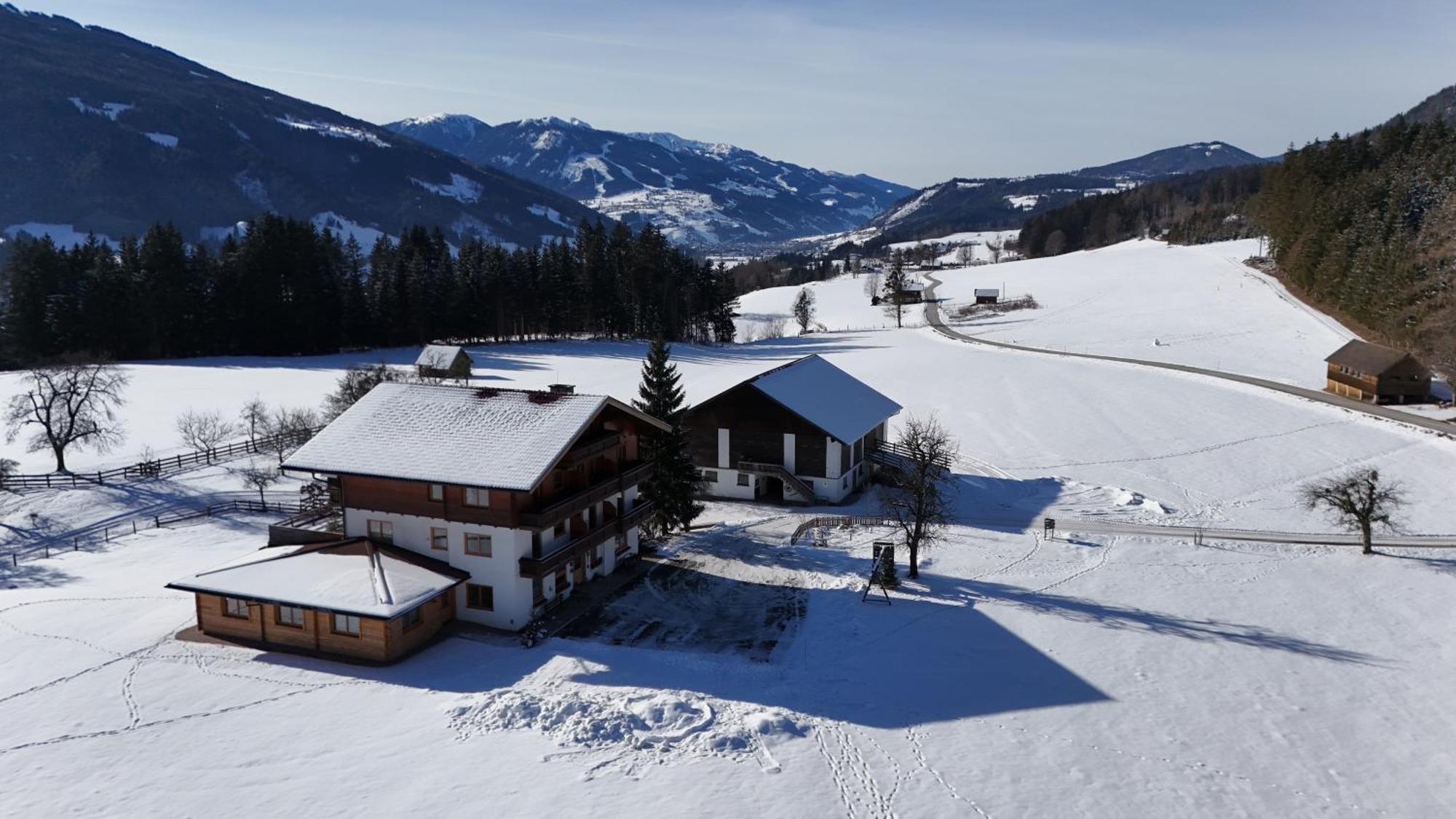 Pircherhof Appartements Haus im Ennstal Dış mekan fotoğraf